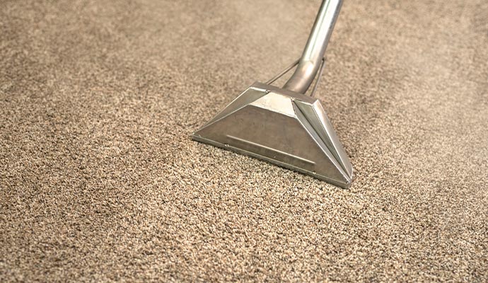 Carpet steam cleaning service