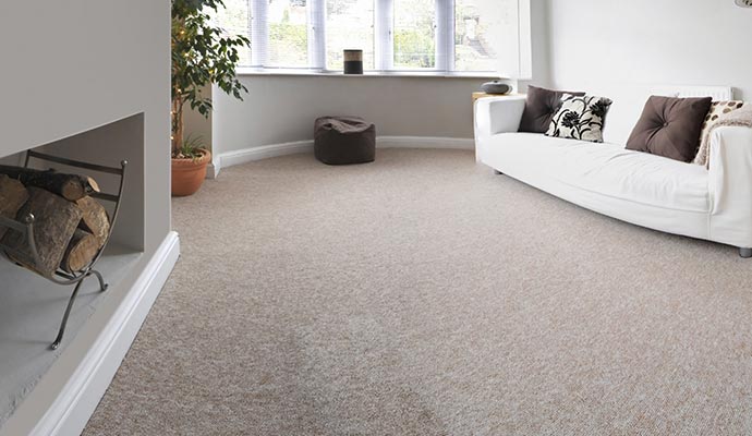 Modern living room area after carpet odor removal service