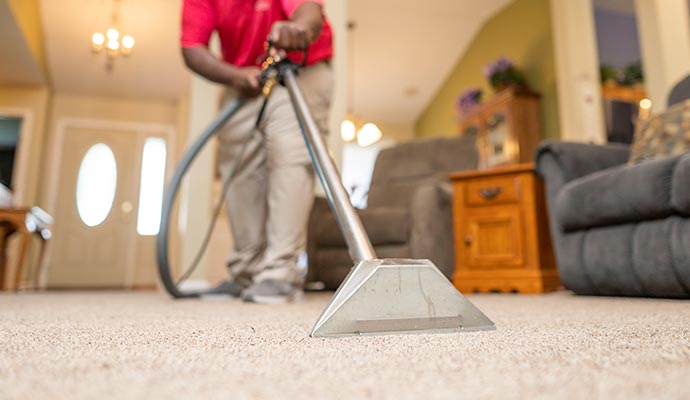 Professional cleaning carpet