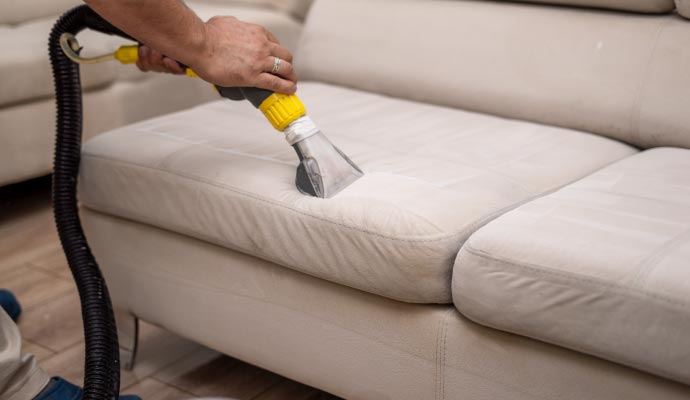 Professional worker cleaning upholstery furniture