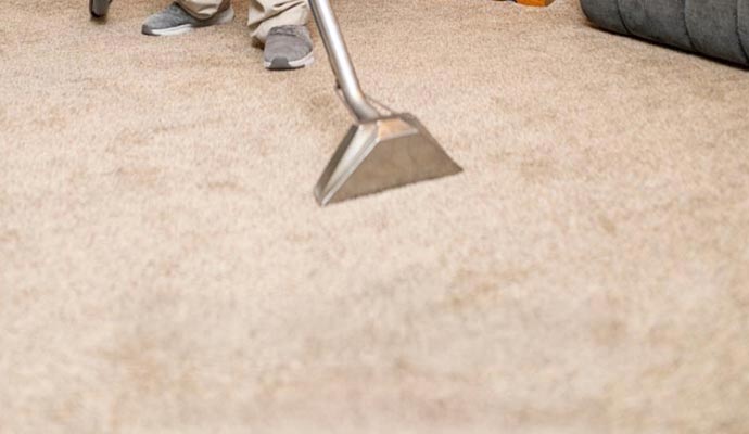 Professional carpet cleaning service