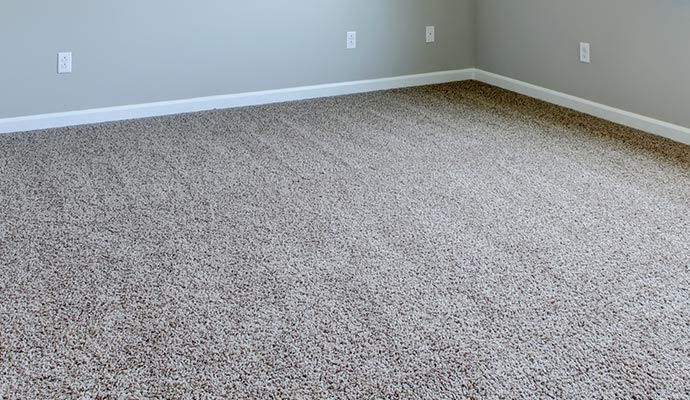 Clean carpeted floor