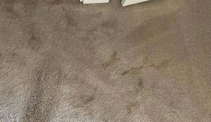 Dirty residential carpet with visible stains and discoloration