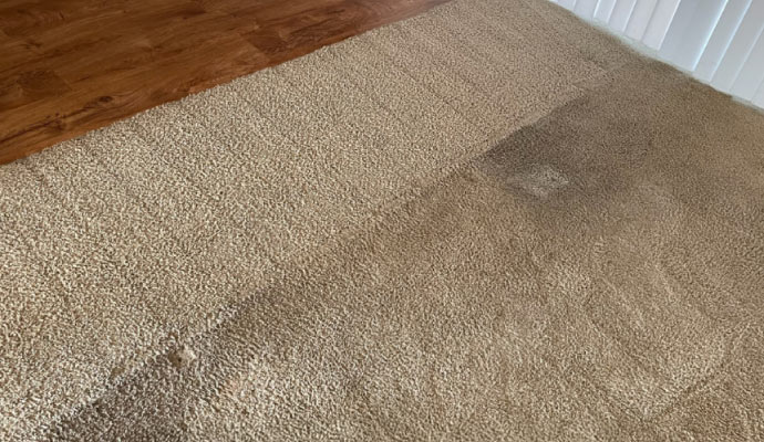 Discolored carpet