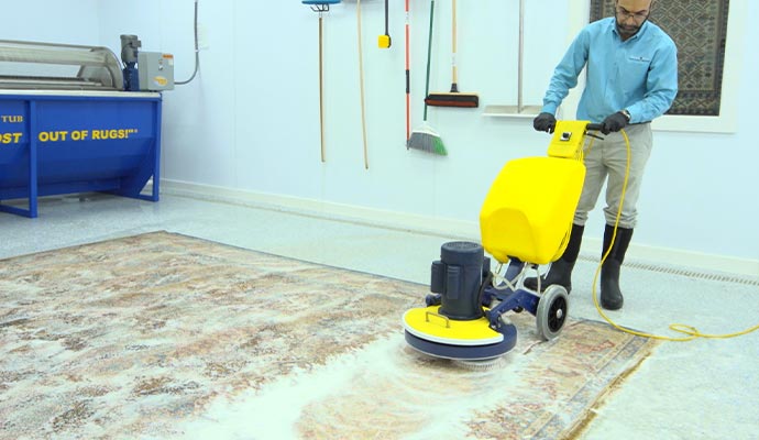 Professional rug cleaning service with equipment