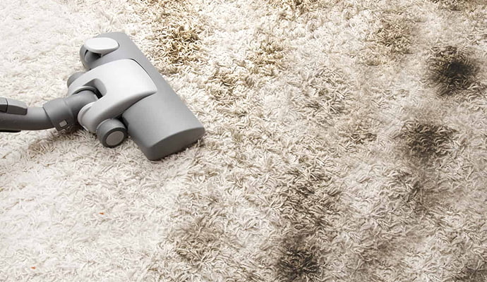 Dust mites cleaning from carpet