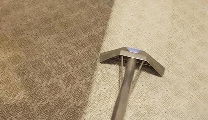 Professional carpet cleaning service