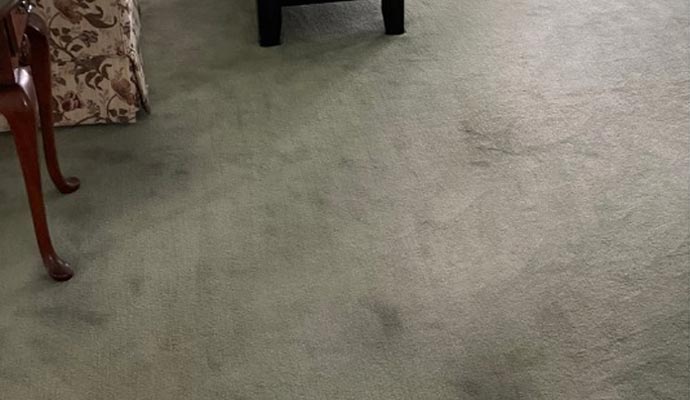 Dark stain on carpet