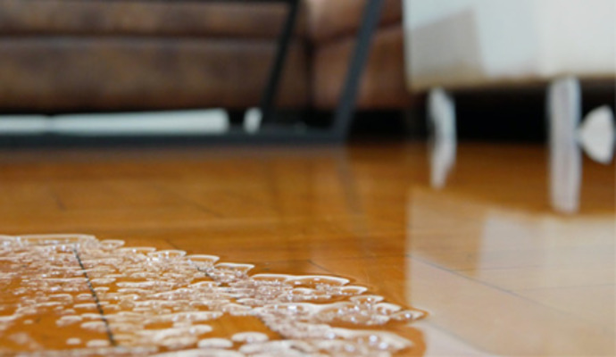 expert restoring water damaged house