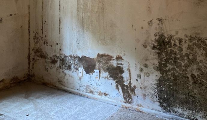 Room wall with significant mold and moisture damage