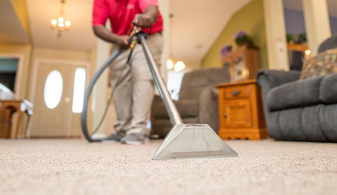 worker cleaning carpet with vacuum cleaner